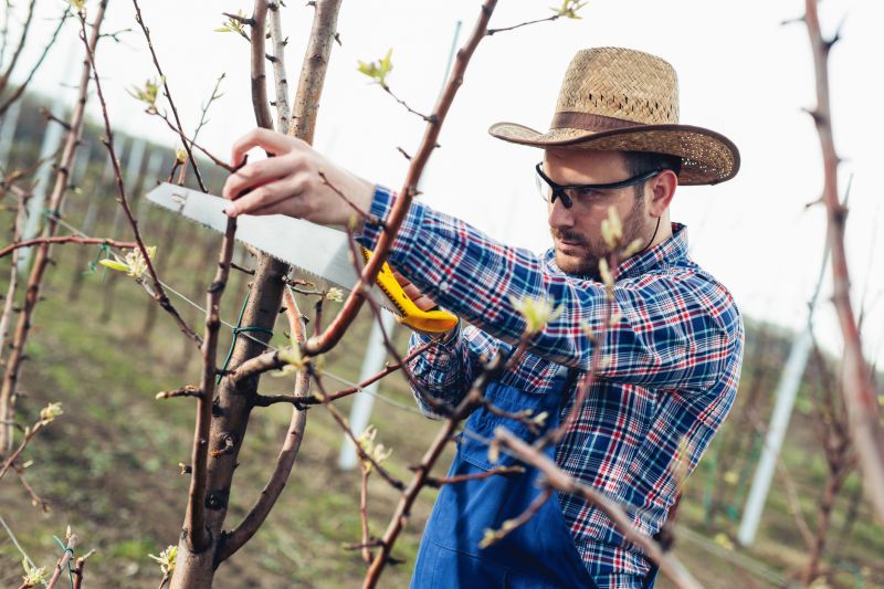 Pruning assessment